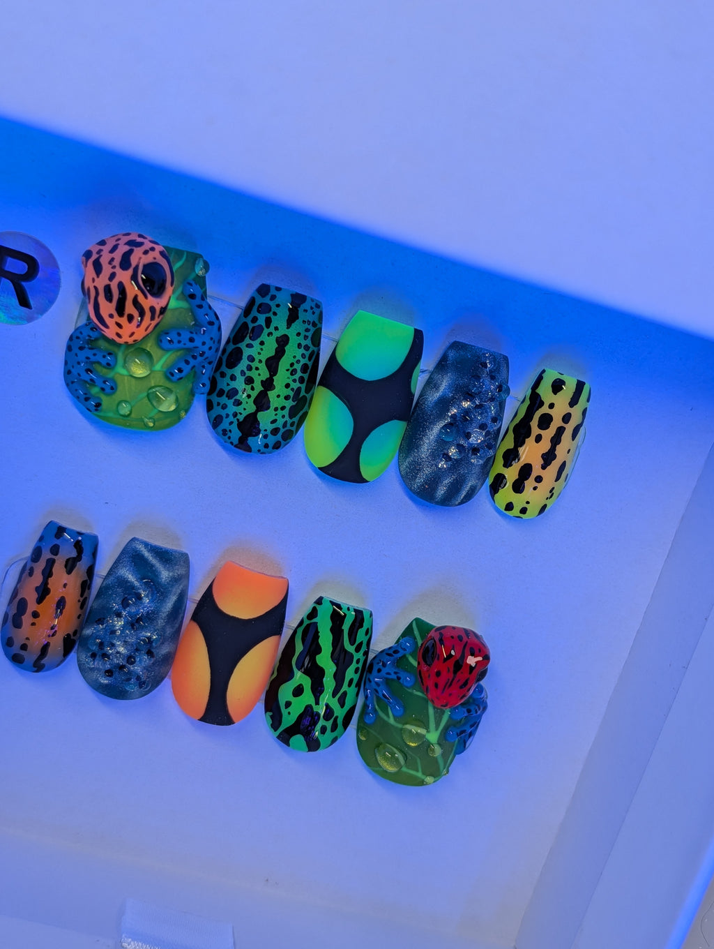" Ribbet Rave " SUMMER -2026