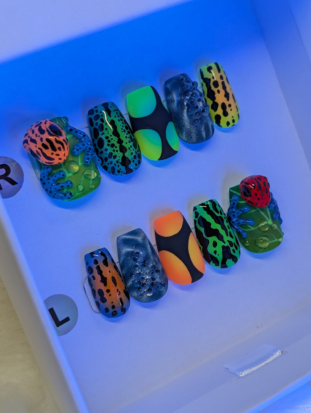 " Ribbet Rave " SUMMER -2026